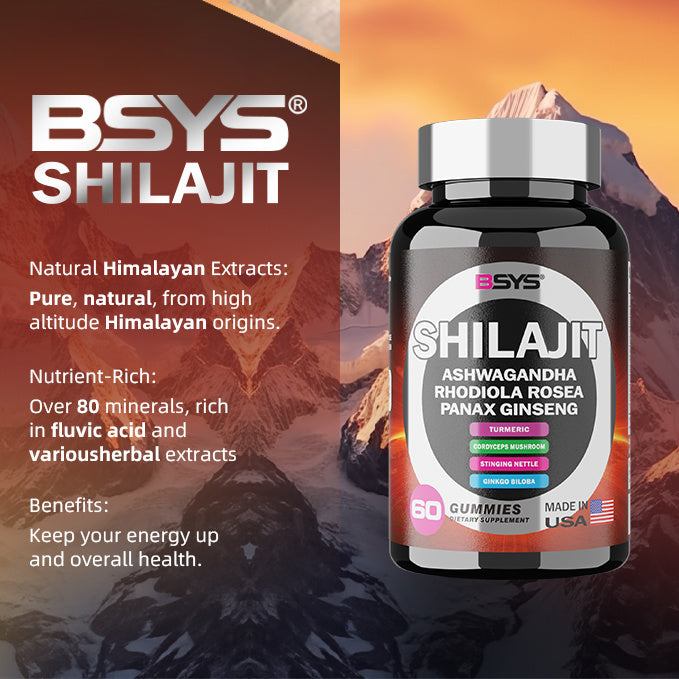 BSYS Shilajit supplement bottle with mountainous background