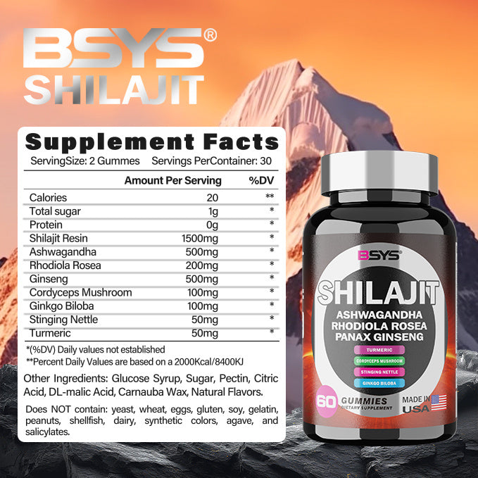 BSYS Shilajit supplement bottle with supplement facts label against a mountainous background