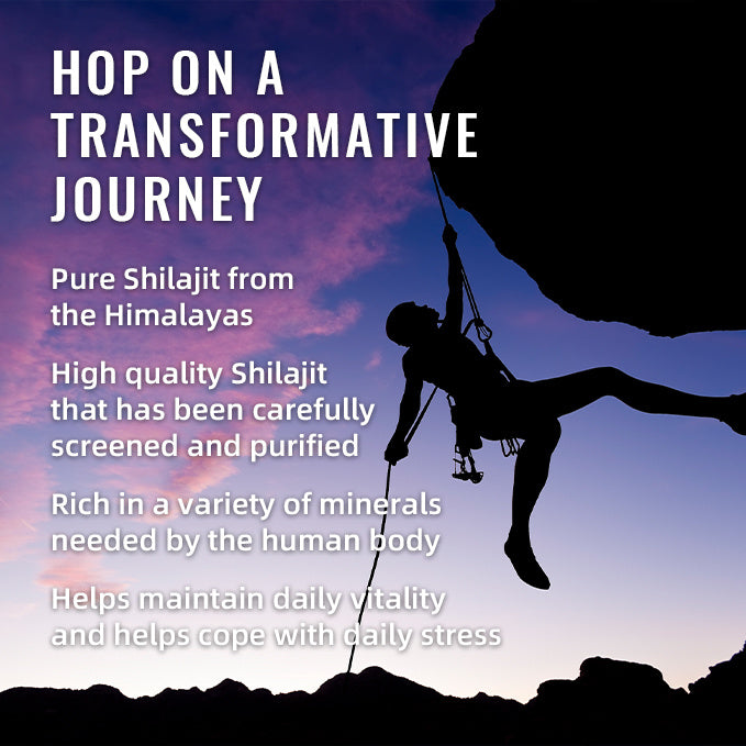 Shonovi Customs™ SHILAJIT GUMMIES 60'S - Shonovi Customs
